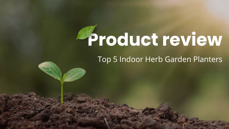 Top 5 Indoor Herb Garden Planters
