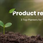 3 Top Planters for Your Garden Compared